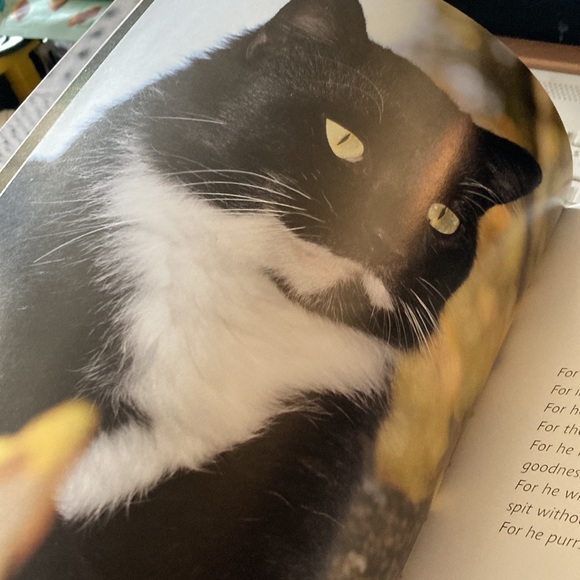 CATS Book - Picture 2 of 8